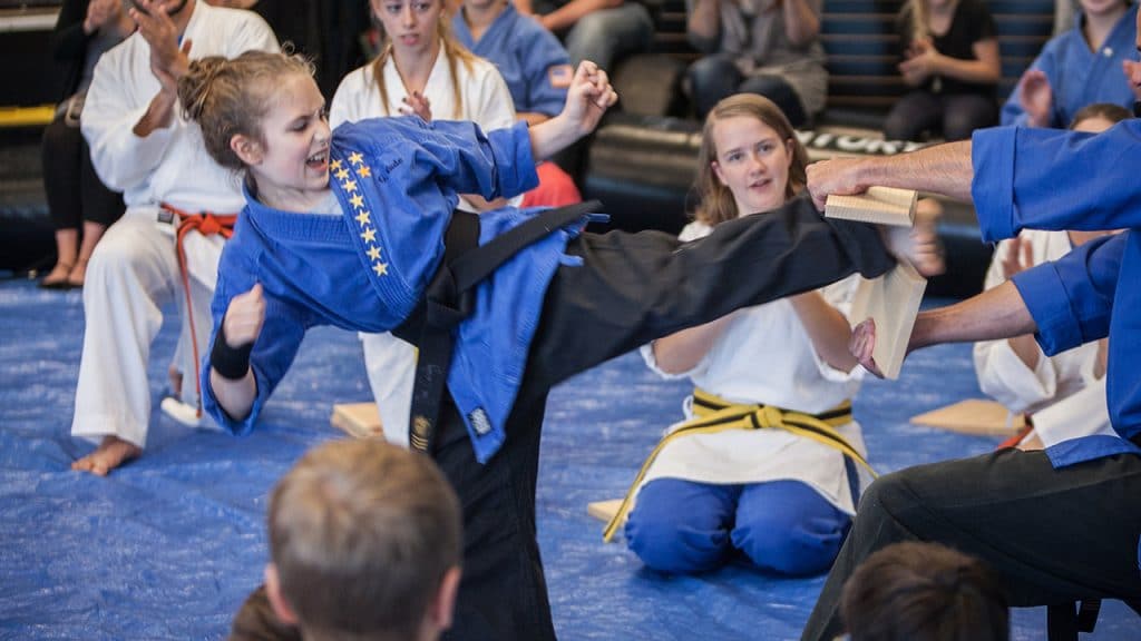 Black Belt A Holistic Approach Ripple Effect Martial Arts