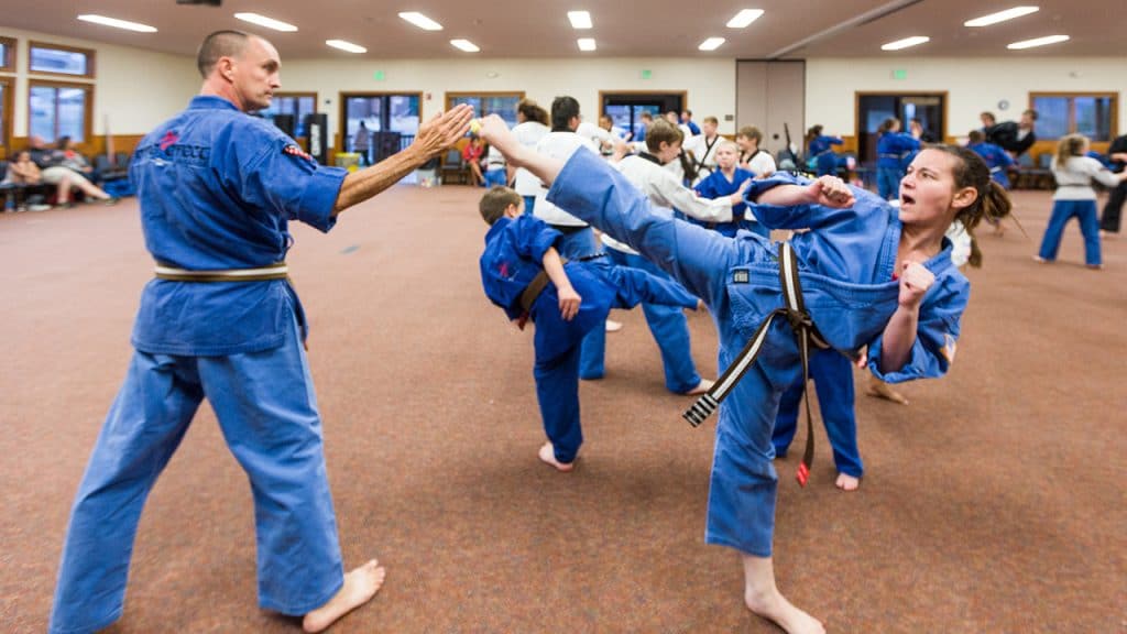 Black Belt A Holistic Approach Ripple Effect Martial Arts