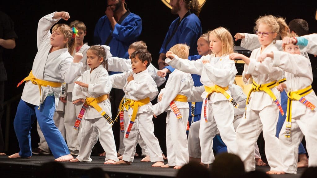 Martial Arts on the Spectrum Why Parents of Kids with